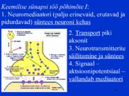 Sissejuhatus psüühikasse #104