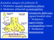 Sissejuhatus psüühikasse #105