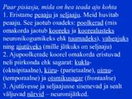 Sissejuhatus psüühikasse #27