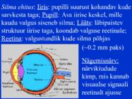 Sissejuhatus psüühikasse #34
