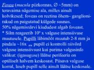 Sissejuhatus psüühikasse #40