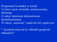 Sissejuhatus psüühikasse #43