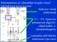 Sissejuhatus psüühikasse #46