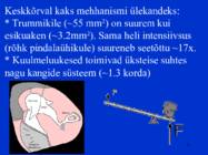Sissejuhatus psüühikasse #51