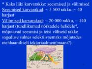 Sissejuhatus psüühikasse #55