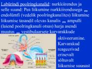 Sissejuhatus psüühikasse #64