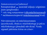 Sissejuhatus psüühikasse #75