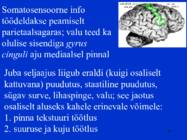 Sissejuhatus psüühikasse #80
