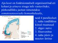 Sissejuhatus psüühikasse #81