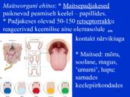 Sissejuhatus psüühikasse #84