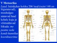Sissejuhatus psüühikasse #93