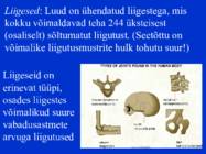 Sissejuhatus psüühikasse #94