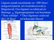 Sissejuhatus psüühikasse #96