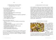MESILASEMADE KASVATAMINE #7