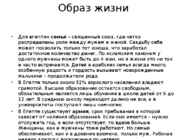 Kaasaegne Egiptus #4