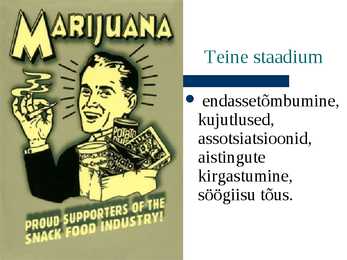 Psühhotroopsed ained-hallutsinogeenid #16