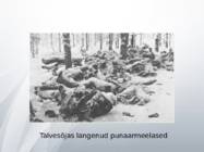 Talvesõda #19