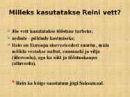Reini jõgi #17