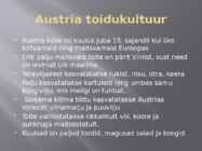 Austria kultuur #10