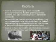 Nakkushaigused Eestis aastatel 1918 - 1945 #10