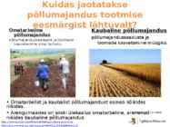 Põllumajanduse esitlus #13