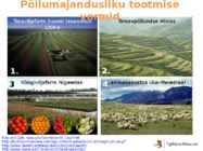 Põllumajanduse esitlus #15