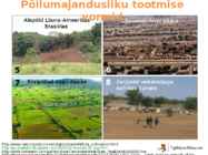 Põllumajanduse esitlus #16