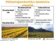 Põllumajanduse esitlus #17