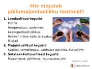 Põllumajanduse esitlus #18