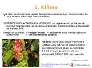Põllumajanduse esitlus #19