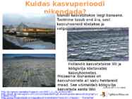 Põllumajanduse esitlus #21