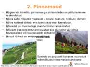 Põllumajanduse esitlus #23
