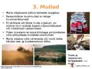 Põllumajanduse esitlus #25