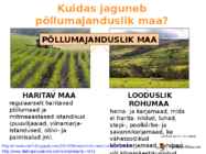 Põllumajanduse esitlus #9
