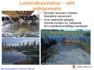 Põllumajanduse mõju keskkonnale #23