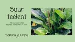 Suur-teeleht