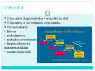 C-HEPATIIT #3