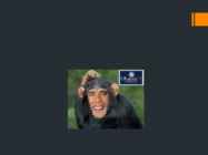 Barack Hussein Obama #8