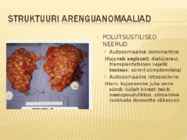Neeru rikked #8