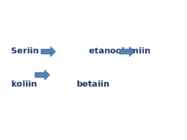 Etanoolamiin-koliin-betaiin #2