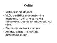 Etanoolamiin-koliin-betaiin #4