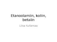 Etanoolamiin-koliin-betaiin