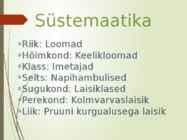 Pruuni kurgualusega laisik #2