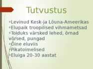 Pruuni kurgualusega laisik #4