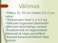 Pruuni kurgualusega laisik #5