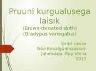 Pruuni kurgualusega laisik