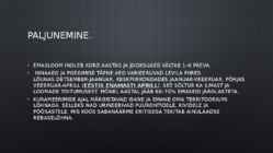 Rebane #7