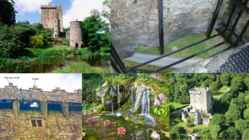 Kissing the Blarney Stone #5