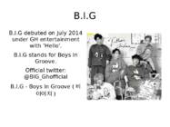 B I G profile #2
