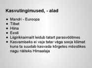 Taimekultuuri teraviljad põhjalik esitlus #13